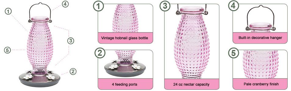 http://images.birdfeeders.com/is/image/woodstream/bf%5Fus%5F8131%2D2%5Fdescrip%2D2?$fullpng$