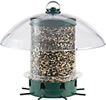 Seed Feeders