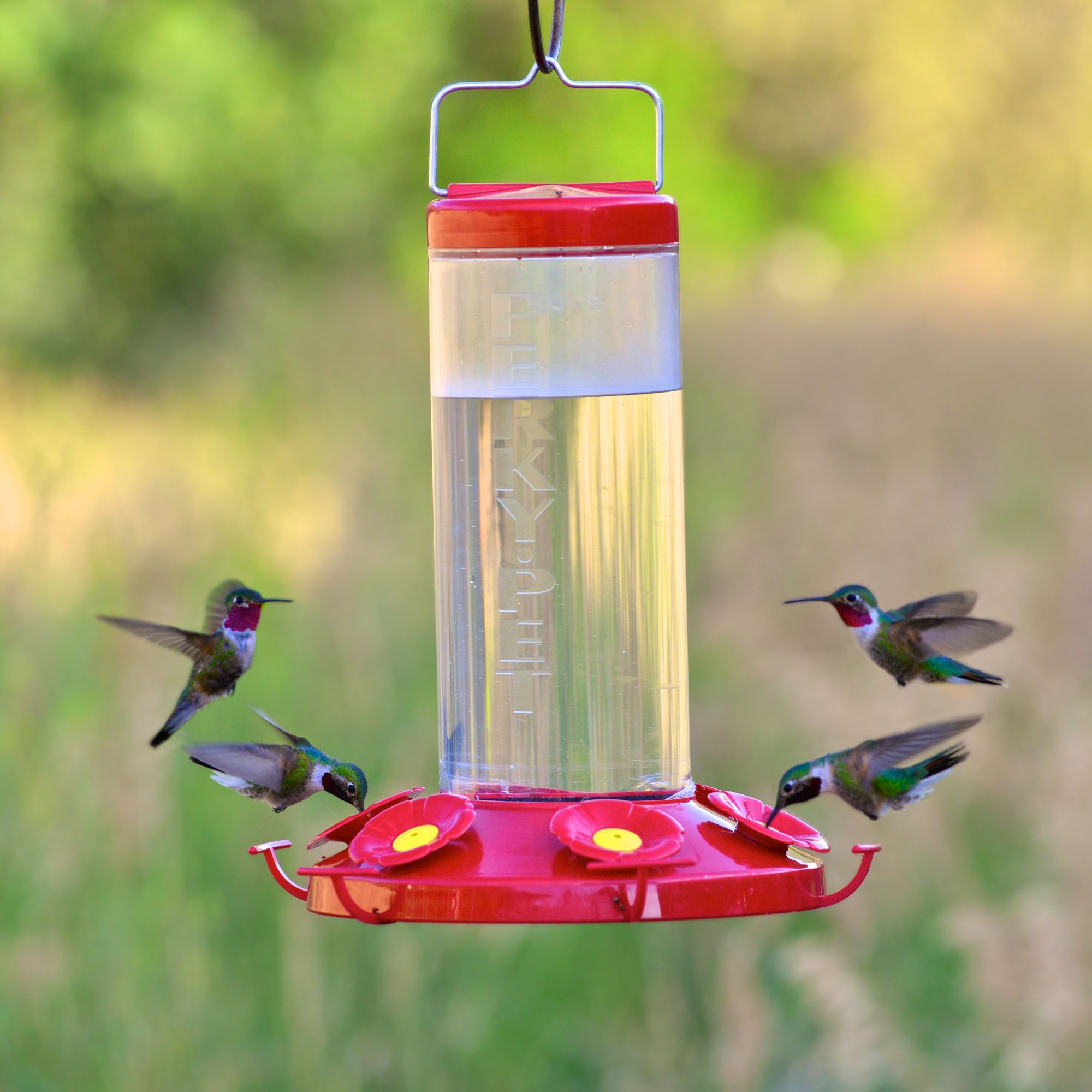 PerkyPet® Grand Master Large Capacity Hummingbird Feeder