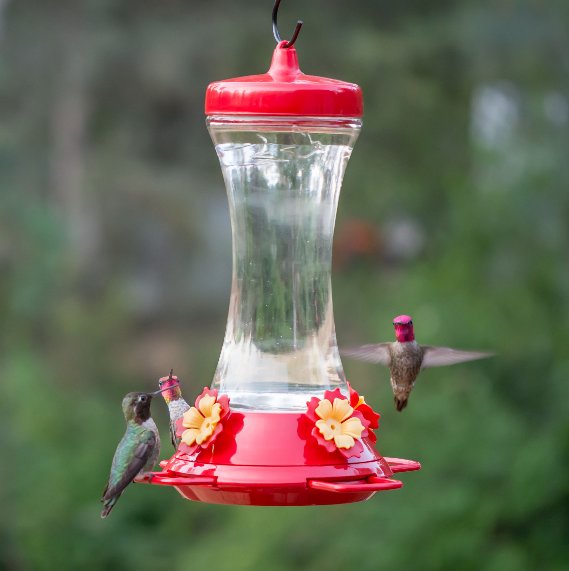 PerkyPet® Adjustable Perch Glass Hummingbird Feeder Model 4763