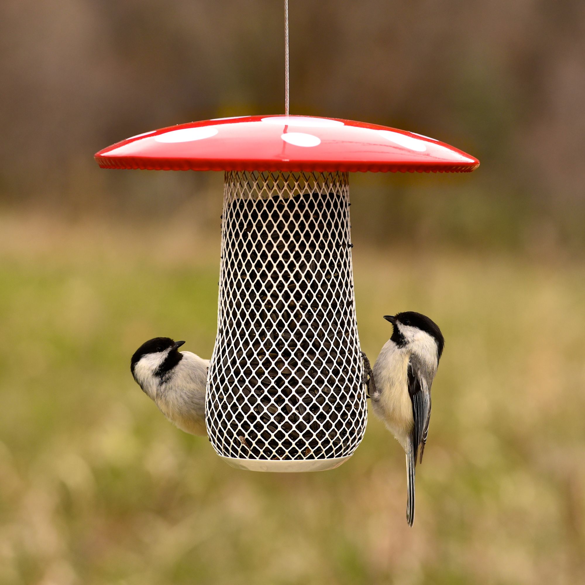 NO/NO® Mushroom Mesh Bird Feeder Model MSB00344