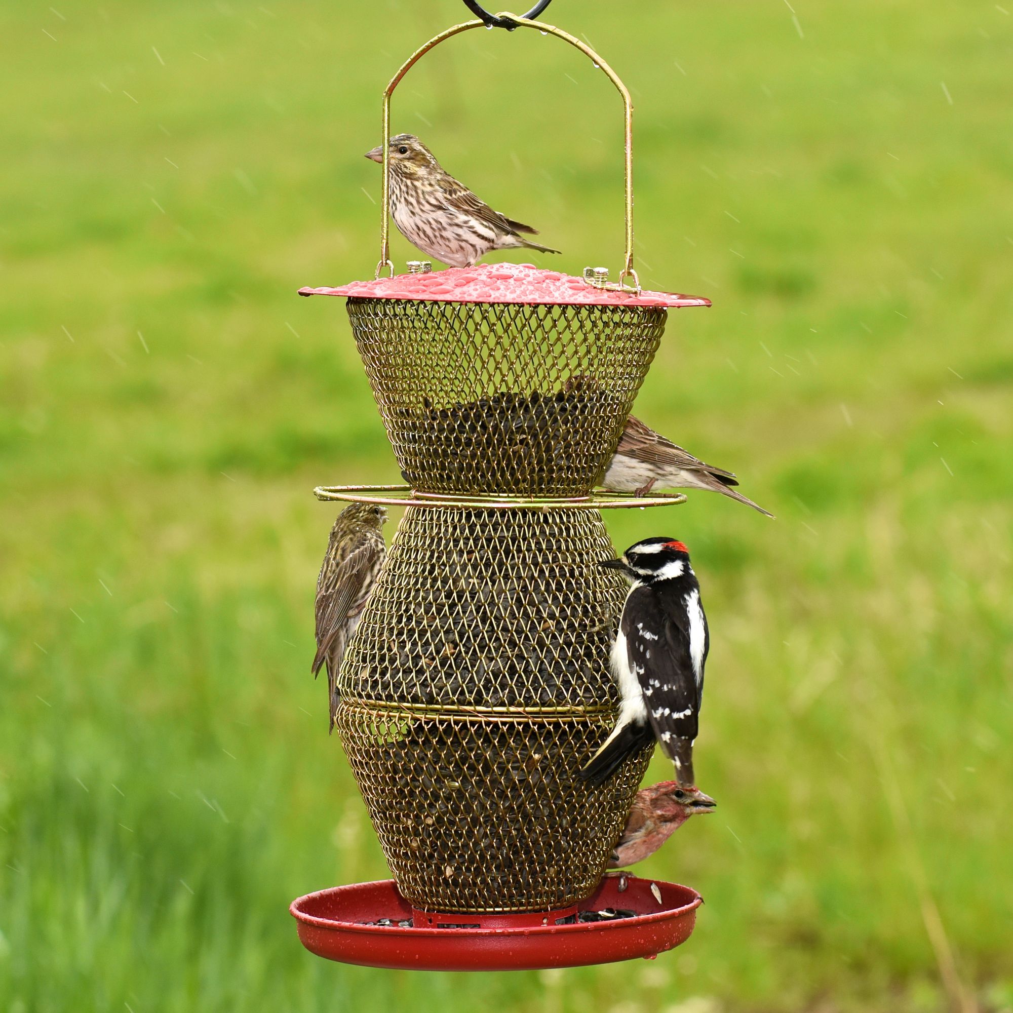 NO/NO® 3 Tier Standard Red & Brass Wild Bird Feeder Model RB300334